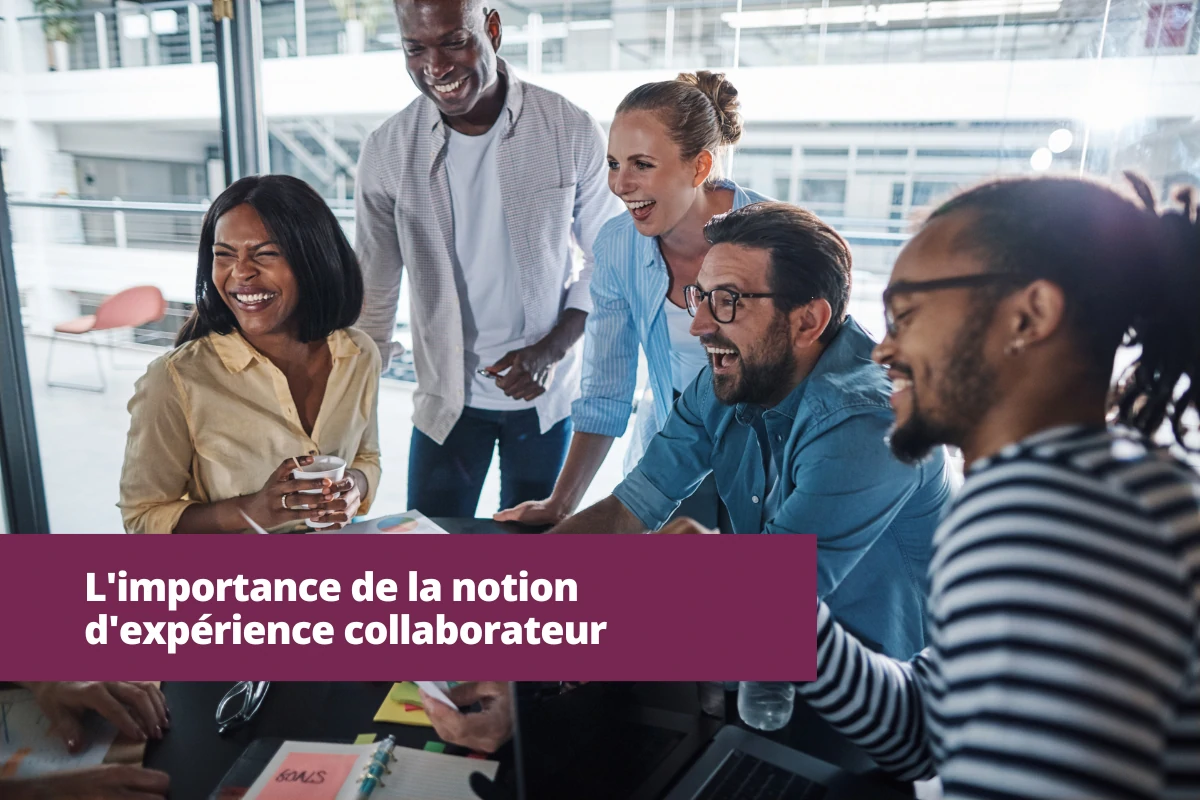 importance expérience collaborateur