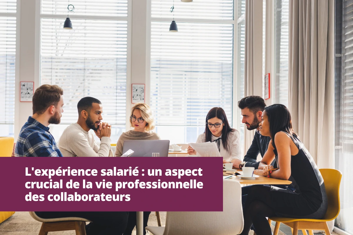 expérience salarié vie professionnelle