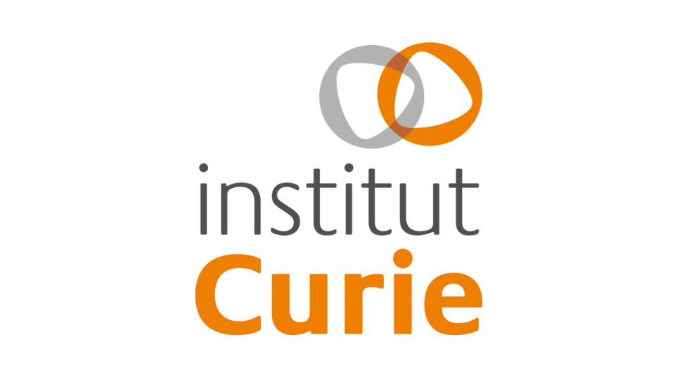 brand-logo
